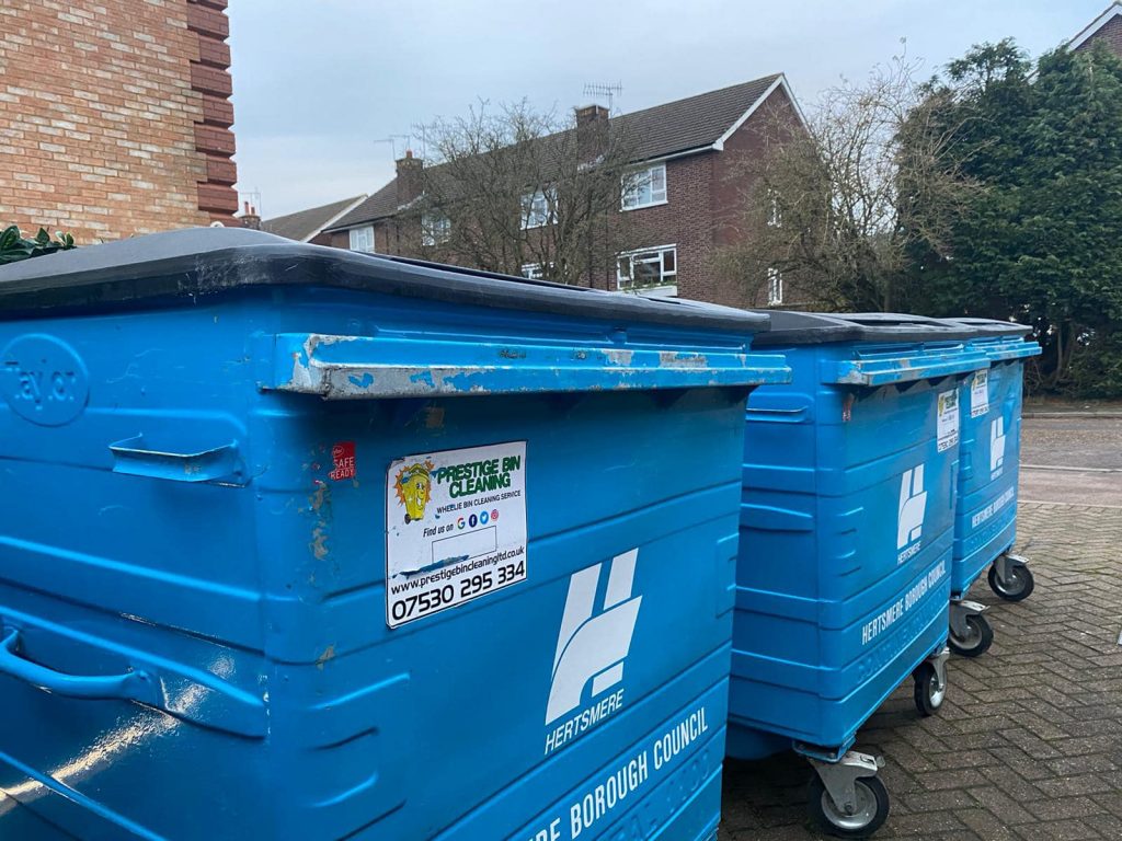 Commercial Bin Cleaning