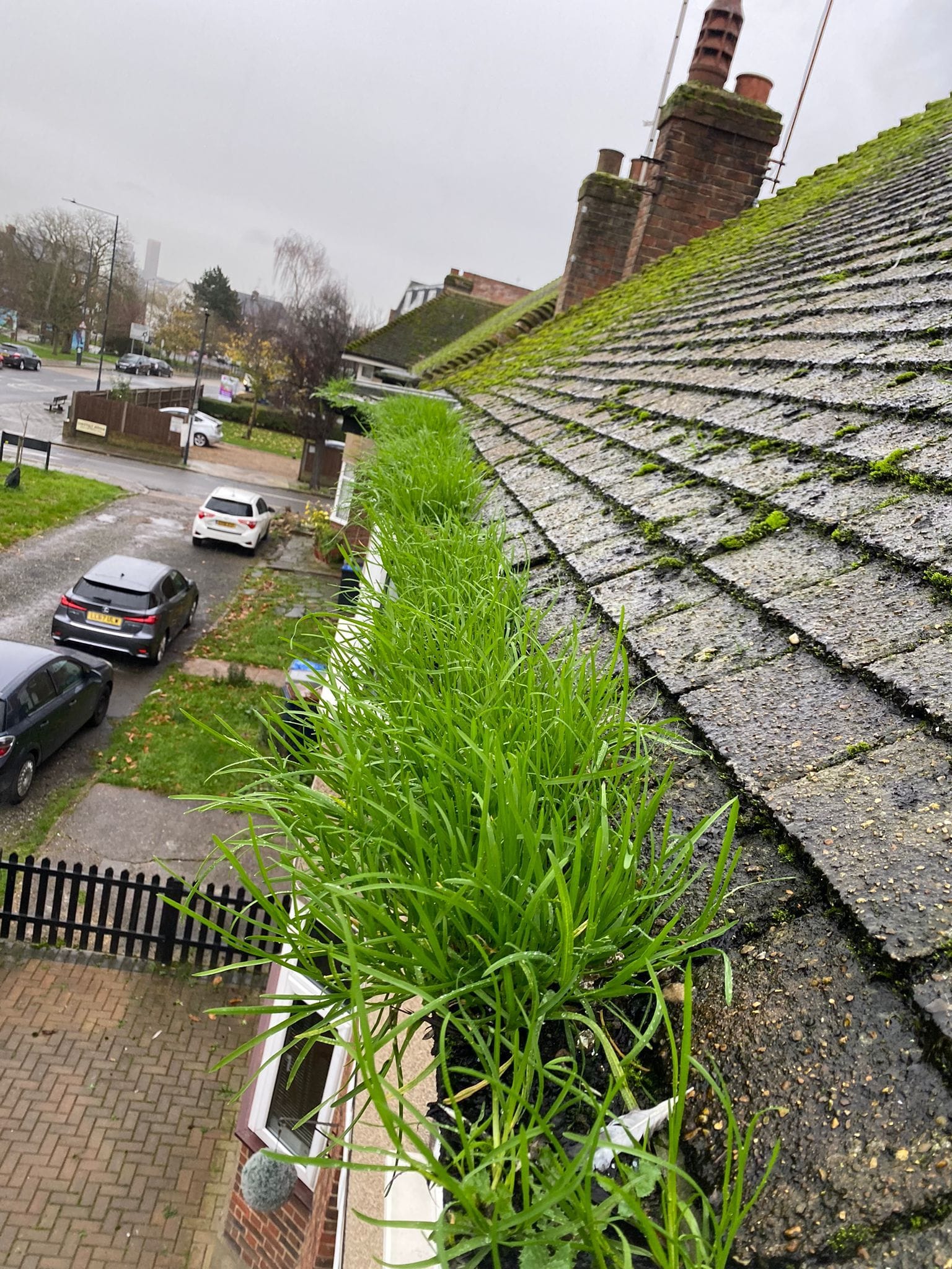 Gutters before Prestige Bin Cleaning inspection in London