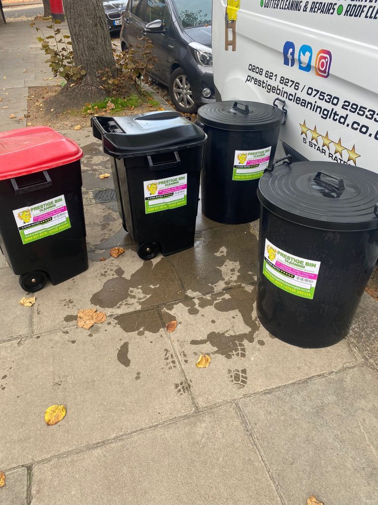 Domestic Wheelie Bin Cleaning Prestige Bin Cleaning