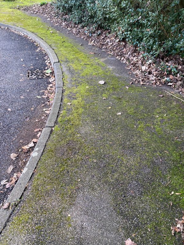 Dirty Path needs pressure washing by Prestige Bin Cleaning