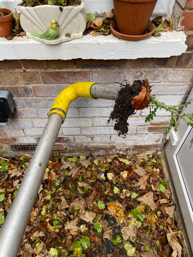 Prestige Bin Cleaning working on Cobham household gutters Prestige Bin Cleaning working on Cobham household gutters