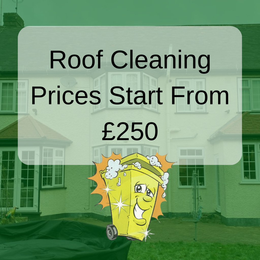 Roof cleaning in Malden Rushett starting from £250