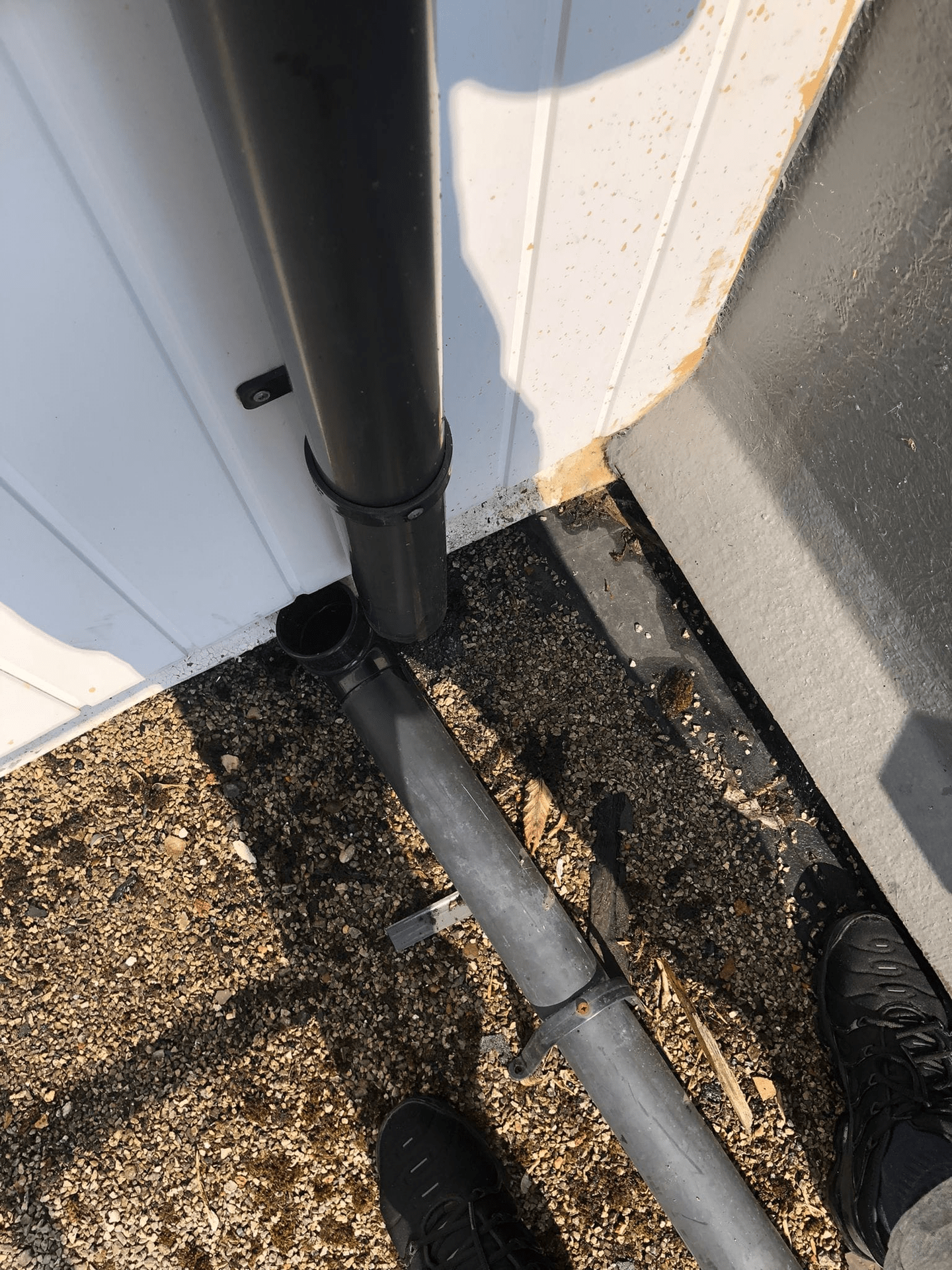 Gutter clipping service from Prestige Bin Cleaning