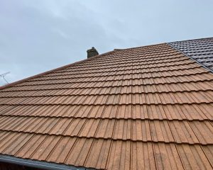 Roofs look after roof cleaning