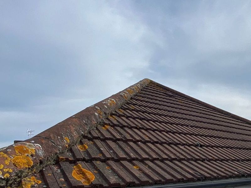 roof cleaning in surrey
