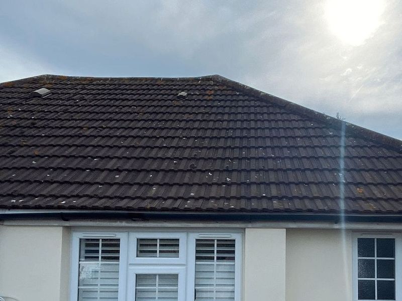 roof cleaning services Before
