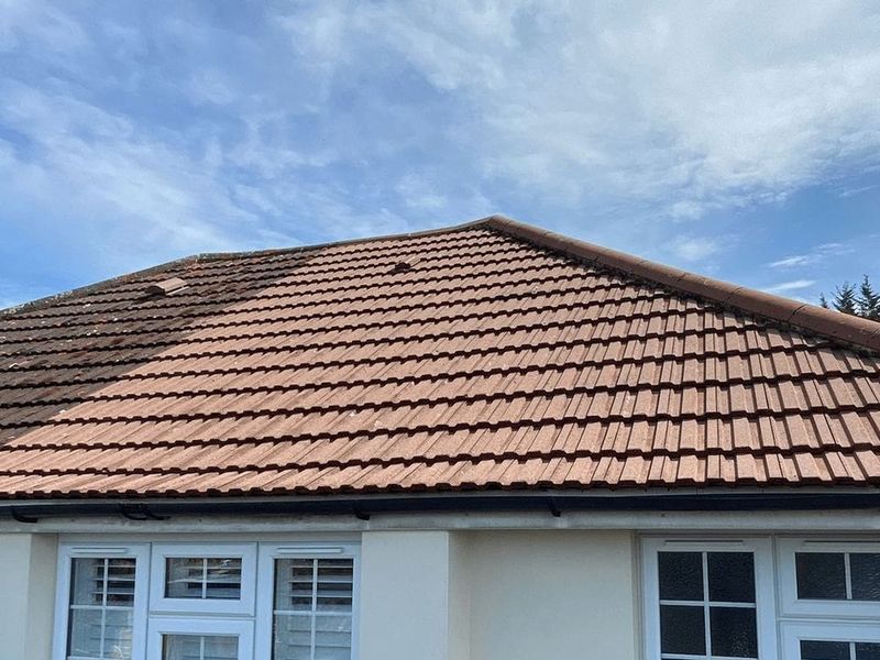 roof cleaning services after