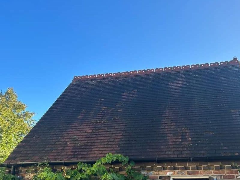 shed roof cleaning for your residential property in surrey