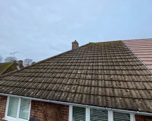 Roof before and after roof cleaning