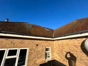 roof cleaning services - before