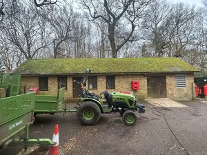 Commercial moss removal