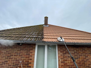washing process for roof cleaning in London