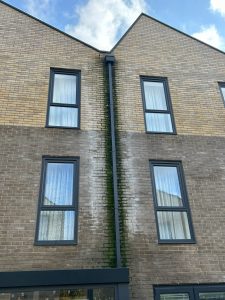 Brick Cleaning Services Before