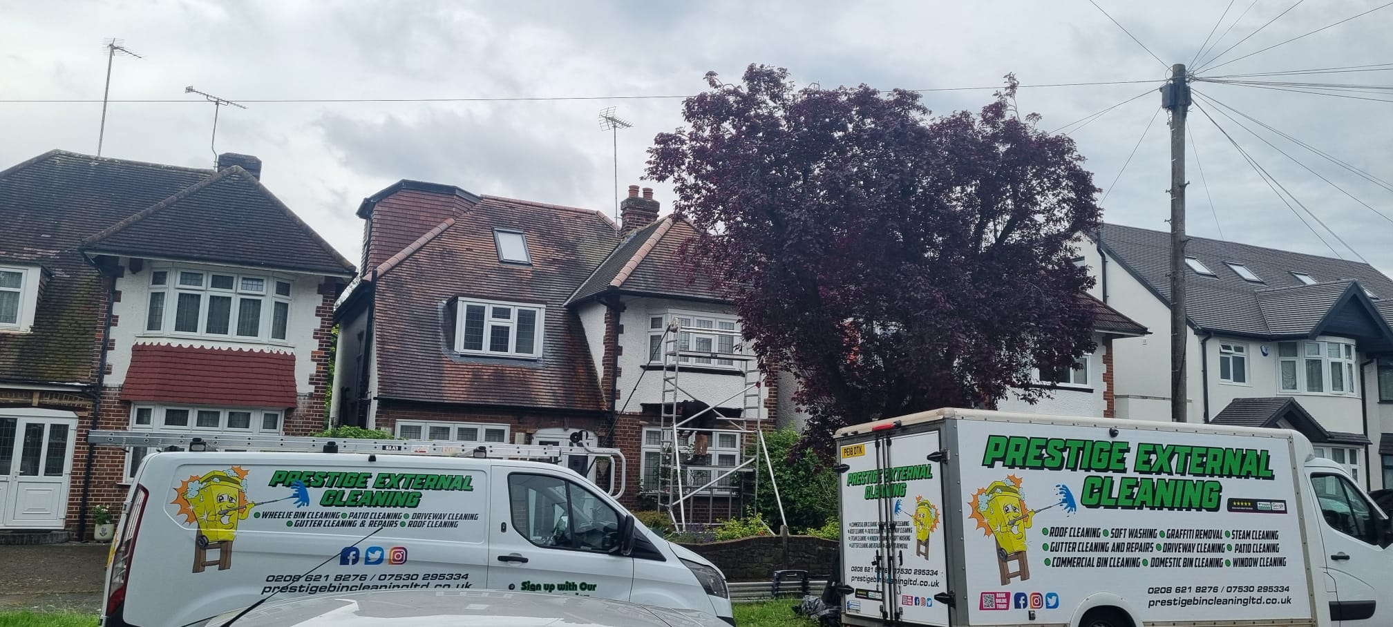 Roof Cleaning Before
