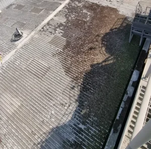 Commercial roof cleaning for Thermalite 10