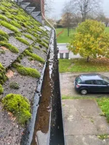 Gutter Cleaning Services