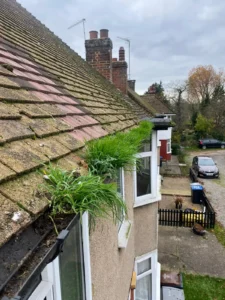 Gutter Cleaning Services