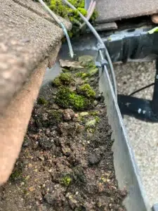 Gutter Cleaning Services