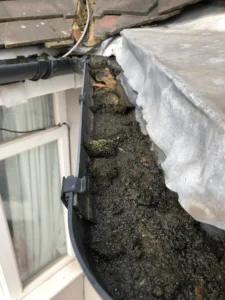 Gutter Cleaning Services