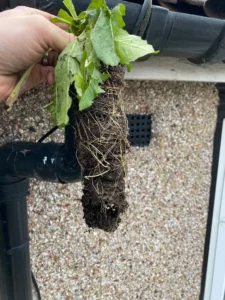 Gutter Cleaning Services