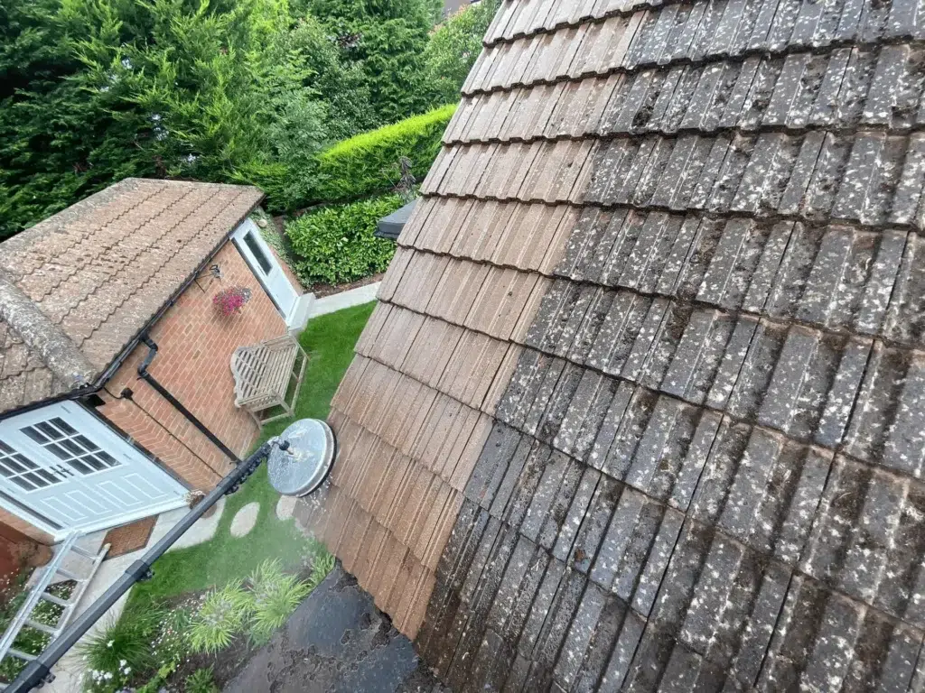 Soft washing system for roof cleaning in london