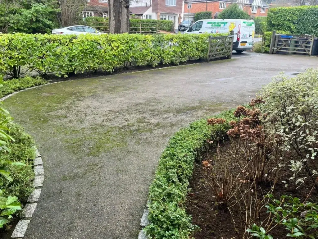 Woking Driveway cleaning before