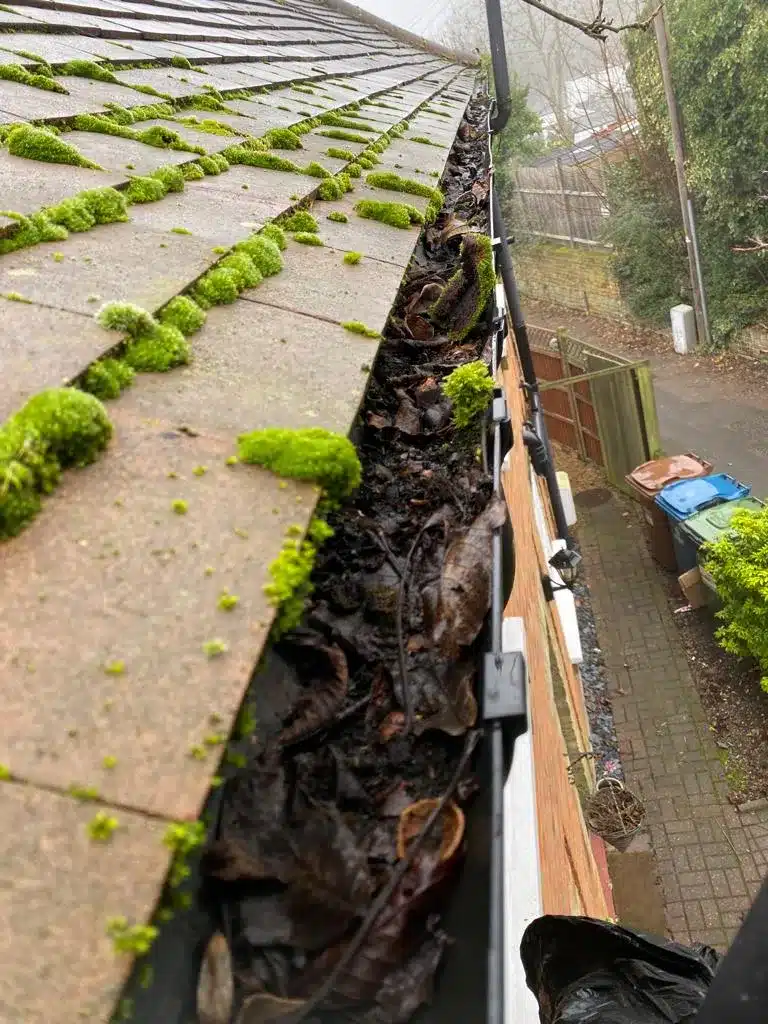 Local Gutter Cleaners In London