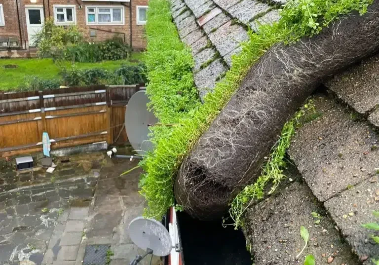 Gutter Cleaners in Barnet