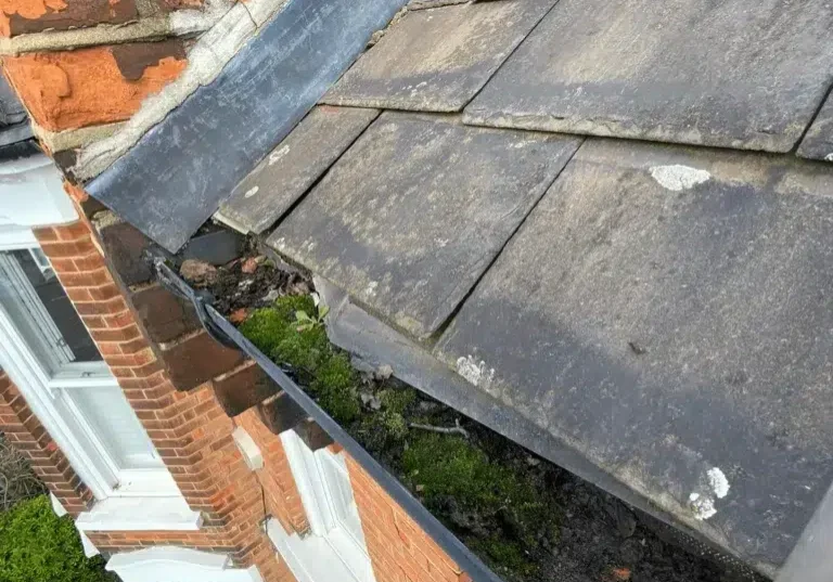 Gutter Cleaning Ealing Before