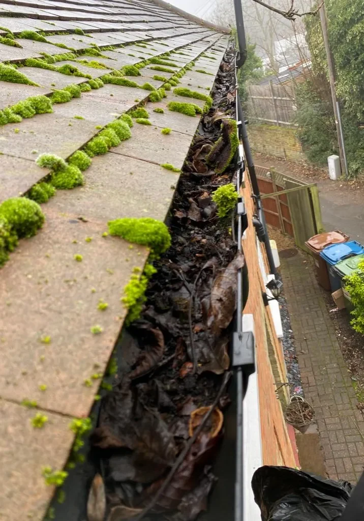 Gutter cleaning in london before
