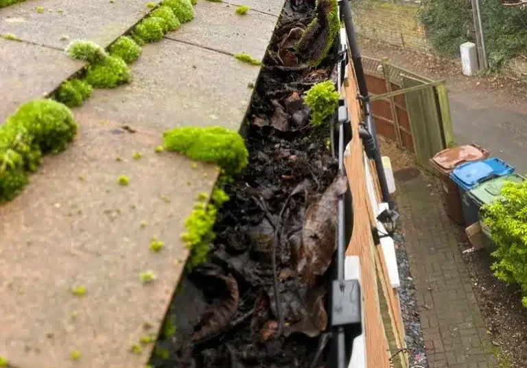 Local Gutter Cleaners In Ealing