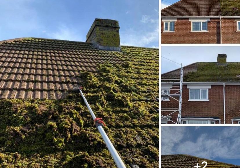 Moss roof pictures - Prestige Bin Cleaning