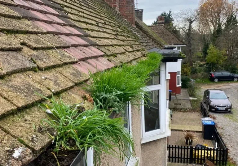 Residential Gutter Cleaning London