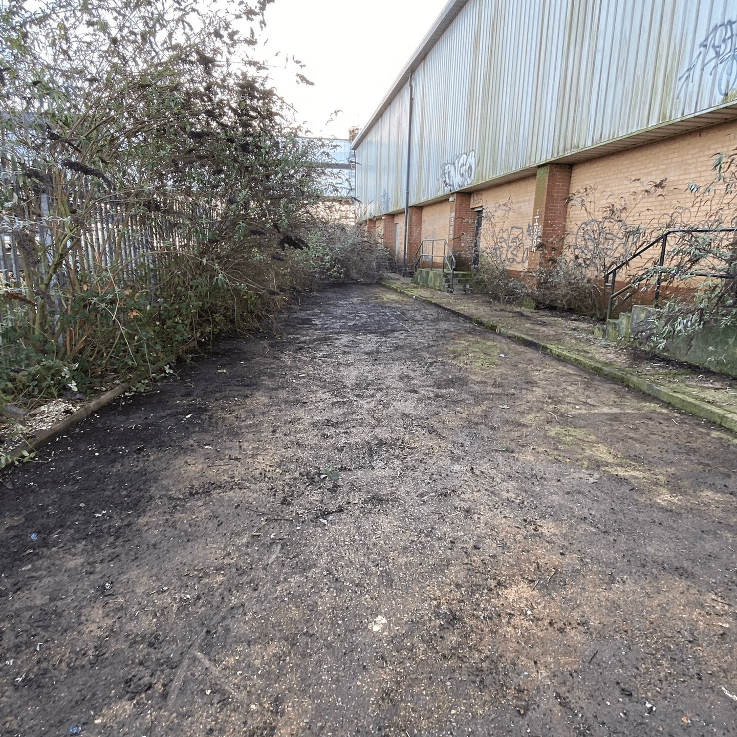 Unkept space on commercial property needing prestige bin cleaning