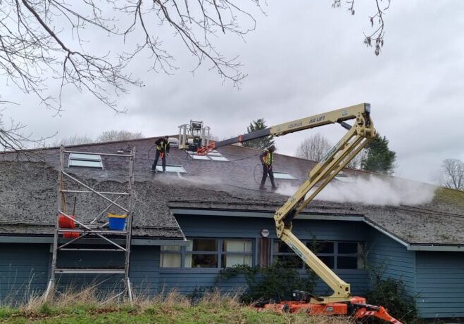 moss removal and roof cleaning in Wimbledon